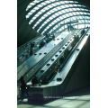 Stainless Steel Escalator Made in Chinese Facuory